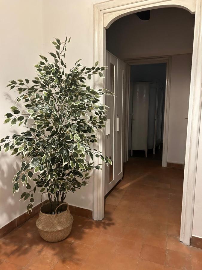 La Casa Di Gioia Apartamento Ostia Antica Exterior foto