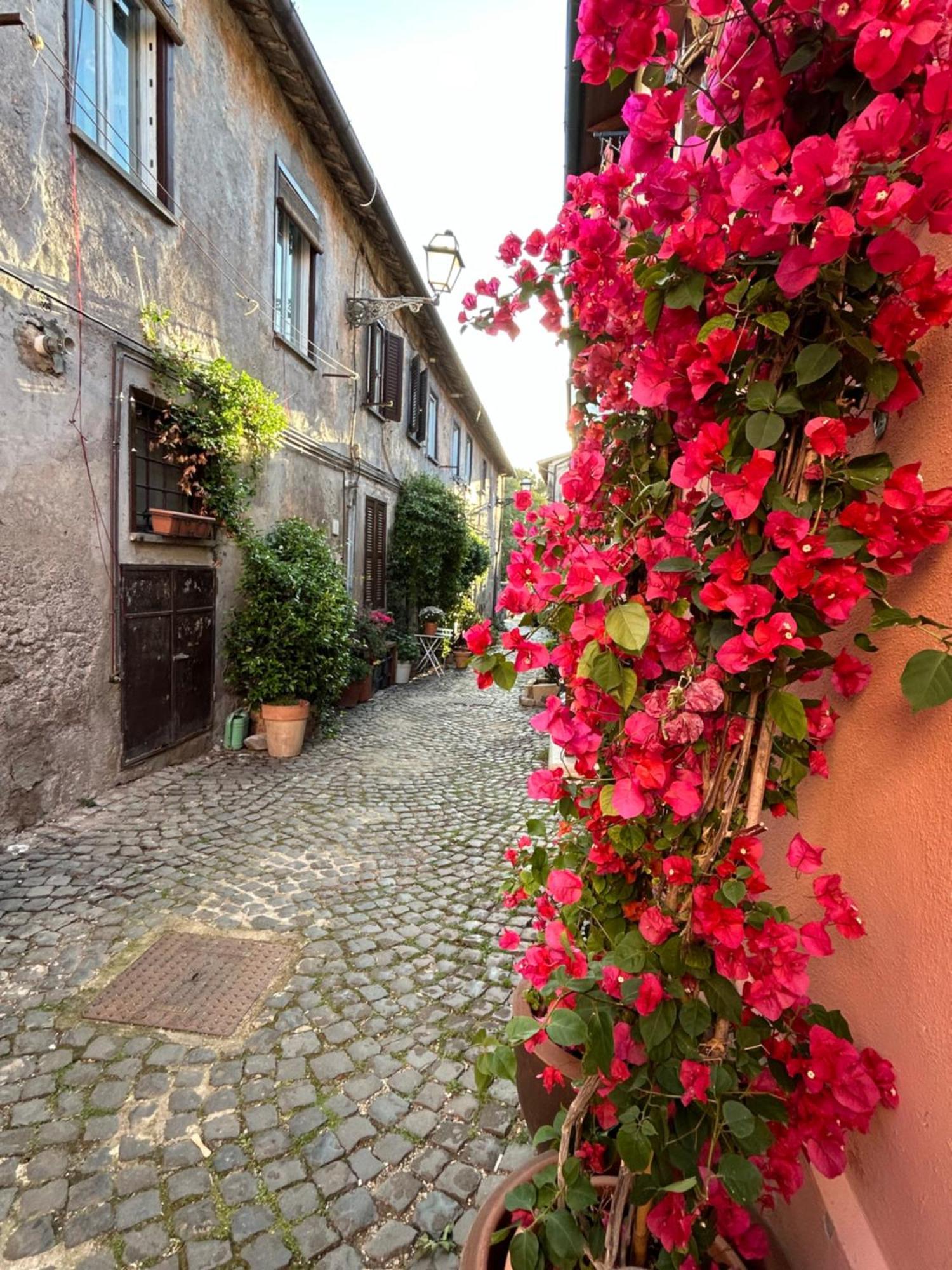 La Casa Di Gioia Apartamento Ostia Antica Exterior foto
